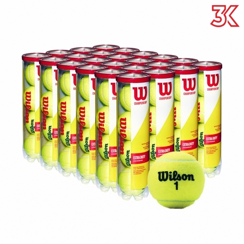 Banh Tennis Wilson Championship Hộp 4 quả [Chính hãng]