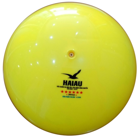 Bóng chuyền hơi 250gr