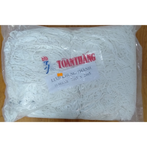 Lưới khung thành 11 người