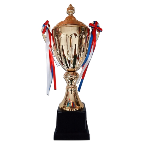 cúp thể thao 2021 mẩu 7706