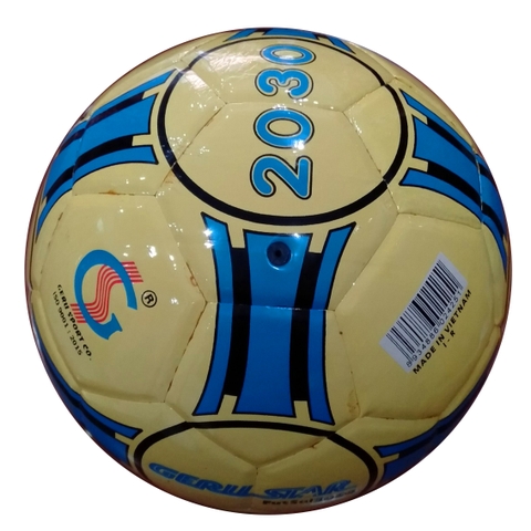 Banh đá fulsan 2030 số 4