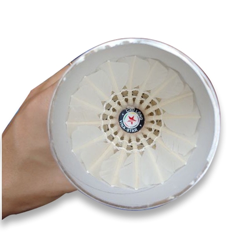 Hộp cầu lông Vina Star 1 hộp 12 quả