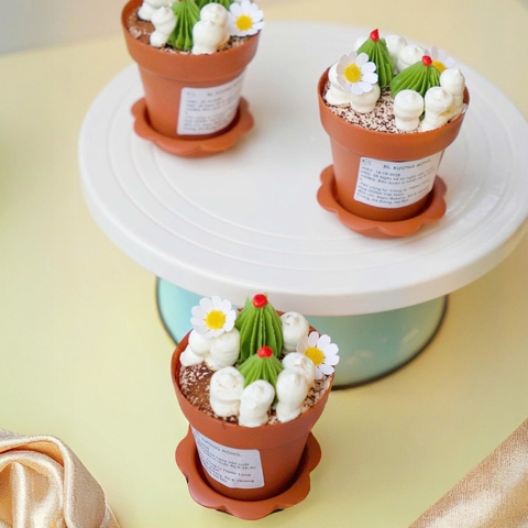 Bông Lan Xương Rồng