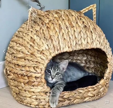 Water Hyacinth Pet House 86333