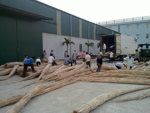 Rattan material 1