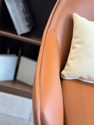 Ghế Sofa Thư Giãn Phòng Khách - SFD15