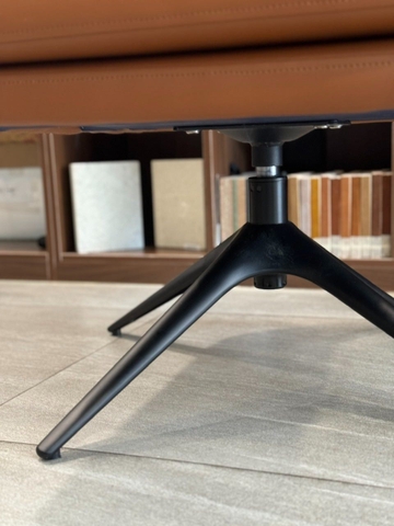 Ghế Sofa Thư Giãn Phòng Khách - SFD15