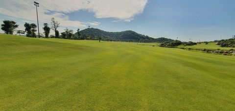 Gợi ý 4 cách khởi động hiệu quả trong 15 phút cho các golfer