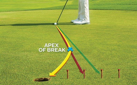 Cách Đọc Line Trên Green Trong Golf Và Những Phương Pháp Hiệu Quả Nhất