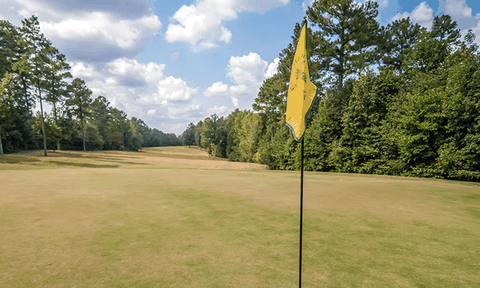 Luật chơi golf liên quan đến cờ!