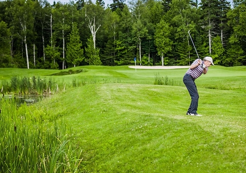 Làm thế nào để không thua khi cá cược golf