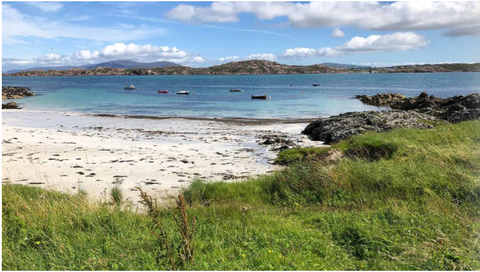 Sân golf đặc biệt ở Scotland được bảo dưỡng bởi những chú cừu