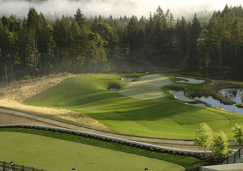 Golfer tấn công hố par 3 như thế nào?