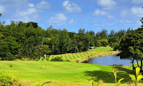 Lịch sử của Screen Golf là gì?