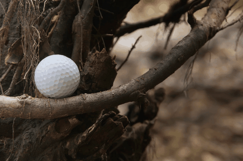 Cách đánh bóng gần rừng