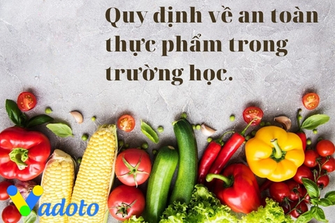 Quy định về vấn đề vệ sinh an toàn thực phẩm ở bếp cho trường học