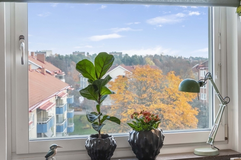 Flambient/Flash - Indoor