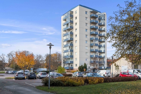 Flambient/Flash - Indoor