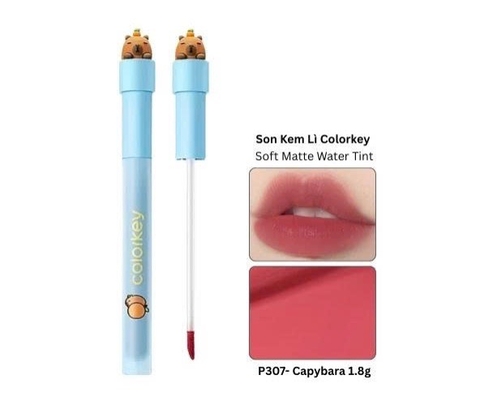 Son Kem Lì Siêu Mịn Colorkey Soft Matte Water Tint Capybara Edition #307