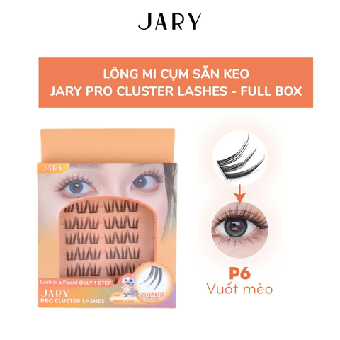 Lông Mi Giả Cụm Có Sẵn Keo JARY EYELASH CURLER - P6 Vuốt Mèo Full Box (Hộp Nhựa 6 Hàng) [Cty - Full VAT]