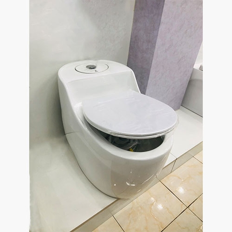 Bệt Trứng Obiste _ 666C