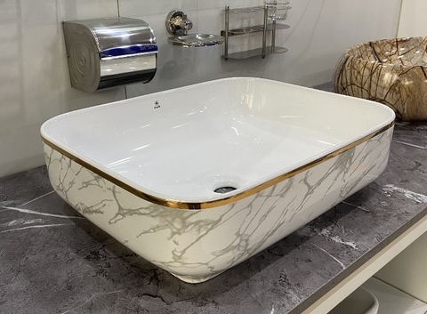 Chậu Dương Vân Viền Vàng