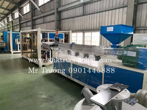 Hộp cơm nhựa tự huỷ là gì? Quy trình sản xuất hộp cơm nhựa tự huỷ 