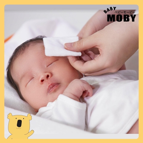 Bông miếng Moby cỡ nhỏ 100 miếng