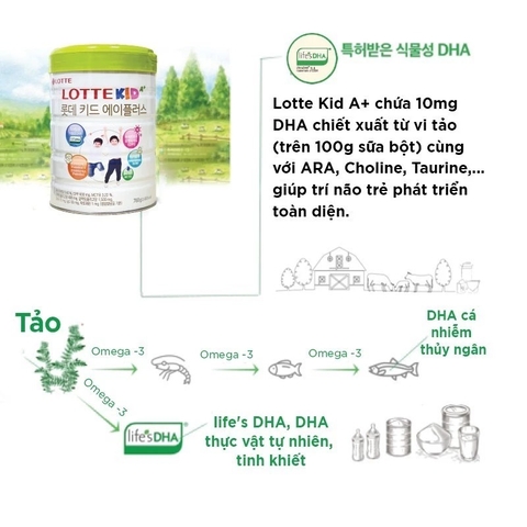 Sữa Lotte Kid A+ Hàn Quốc 760g (1-10 tuổi)