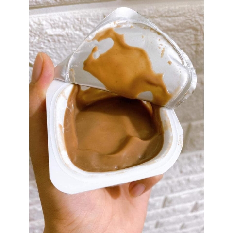 Flan Nestle cho bé 6m