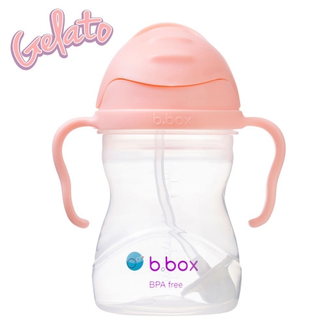 Bình nước BBox Sippy Cup