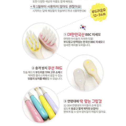 Bàn chải THE TWELVE