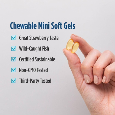 Viên uống dầu cá Nordic Naturals Ultimate Omega Junior 90 viên