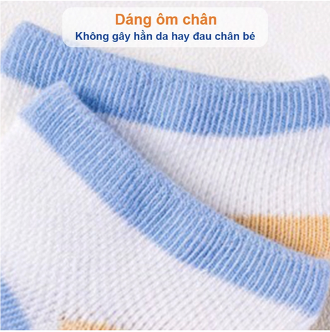 Set 5 đôi tất lưới hình thú cổ thấp