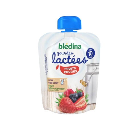 Sữa chua túi Bledina Pháp 50g