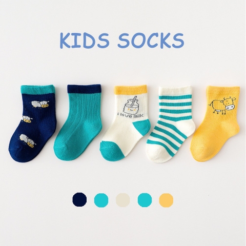 Set 5 đôi tất Kids Sock Soft & Cotton