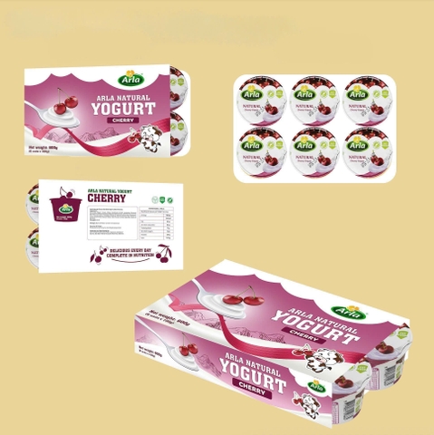 Sữa chua nguội Arla vỉ 6 hộp x 100gr (1 tuổi+)