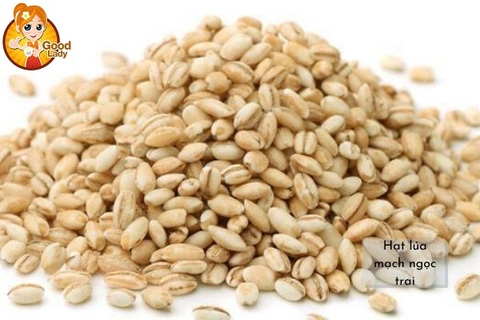LÚA MẠCH NGỌC TRAI - PEARL BARLEY