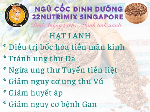 HẠT LANH - FLAXSEED