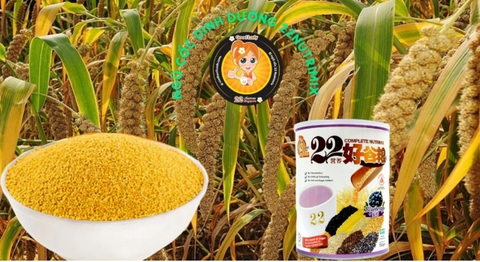 10 tác dụng thần kỳ của hạt kê có thể bạn chưa biết: