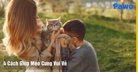 4 Cách Giúp Mèo Cưng Vui Vẻ Khi Bạn Đi Vắng