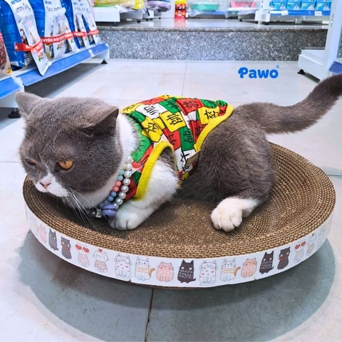 Trụ cào móng cho mèo: Tại sao mèo cần cào móng?