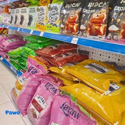 Top các loại Cát vệ sinh cho mèo khử mùi tốt nhất 2026 - Pawo Pet Shop