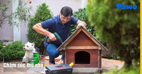 Chăm sóc thú nhỏ (Hamster, Thỏ) mùa sinh sản: Cách bảo vệ cả mẹ và con