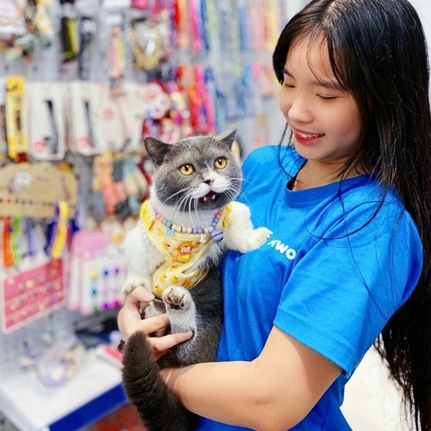 Cỏ mèo (Catnip) có tác dụng gì?