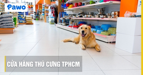 Top 5 Cửa hàng thú cưng hàng đầu TPHCM