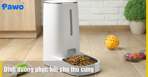 Dinh dưỡng phục hồi cho thú cưng sau phẫu thuật
