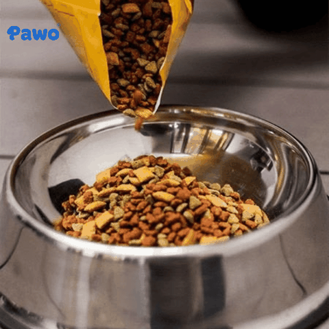 Cảnh báo thức ăn thú cưng giả/kém chất lượng