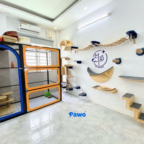 Top 5 khách sạn thú cưng tại Quận 7 uy tín nhất năm 2026 - Pawo Pet Shop