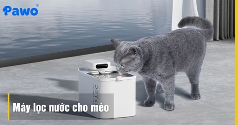 Review 5 loại máy lọc nước giúp mèo uống nước nhiều hơn